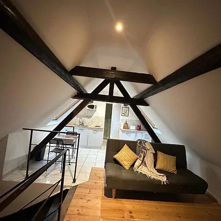 Apartmán Alsacian *